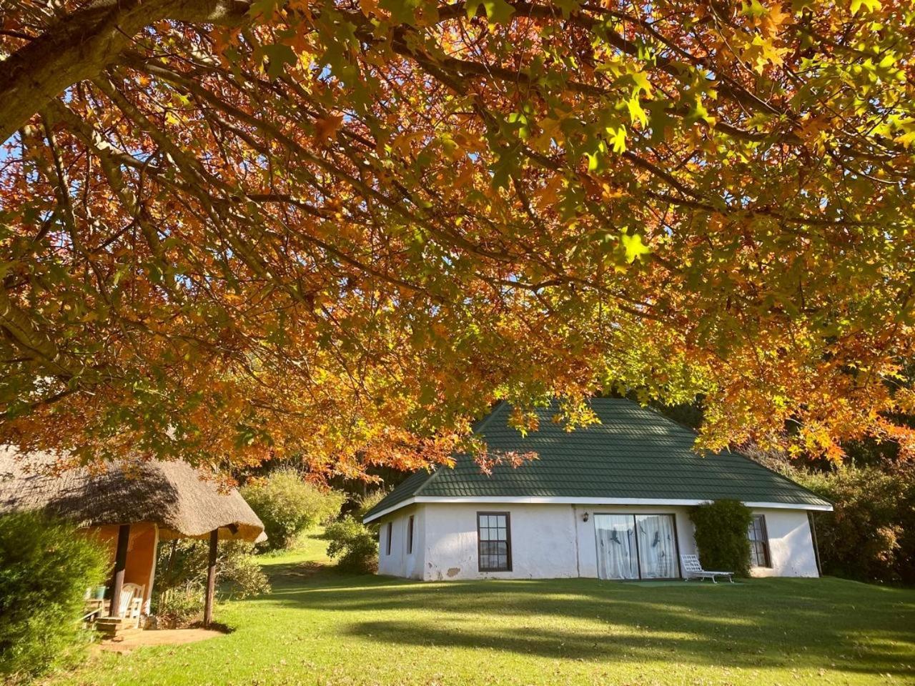 Pear Tree Cottage-Underberg Ngoại thất bức ảnh